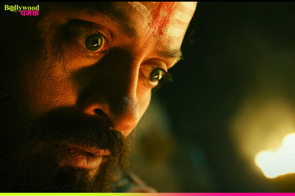Vishwambhara: Chiranjeevi and Trisha Set the Screen All You Need to Know 